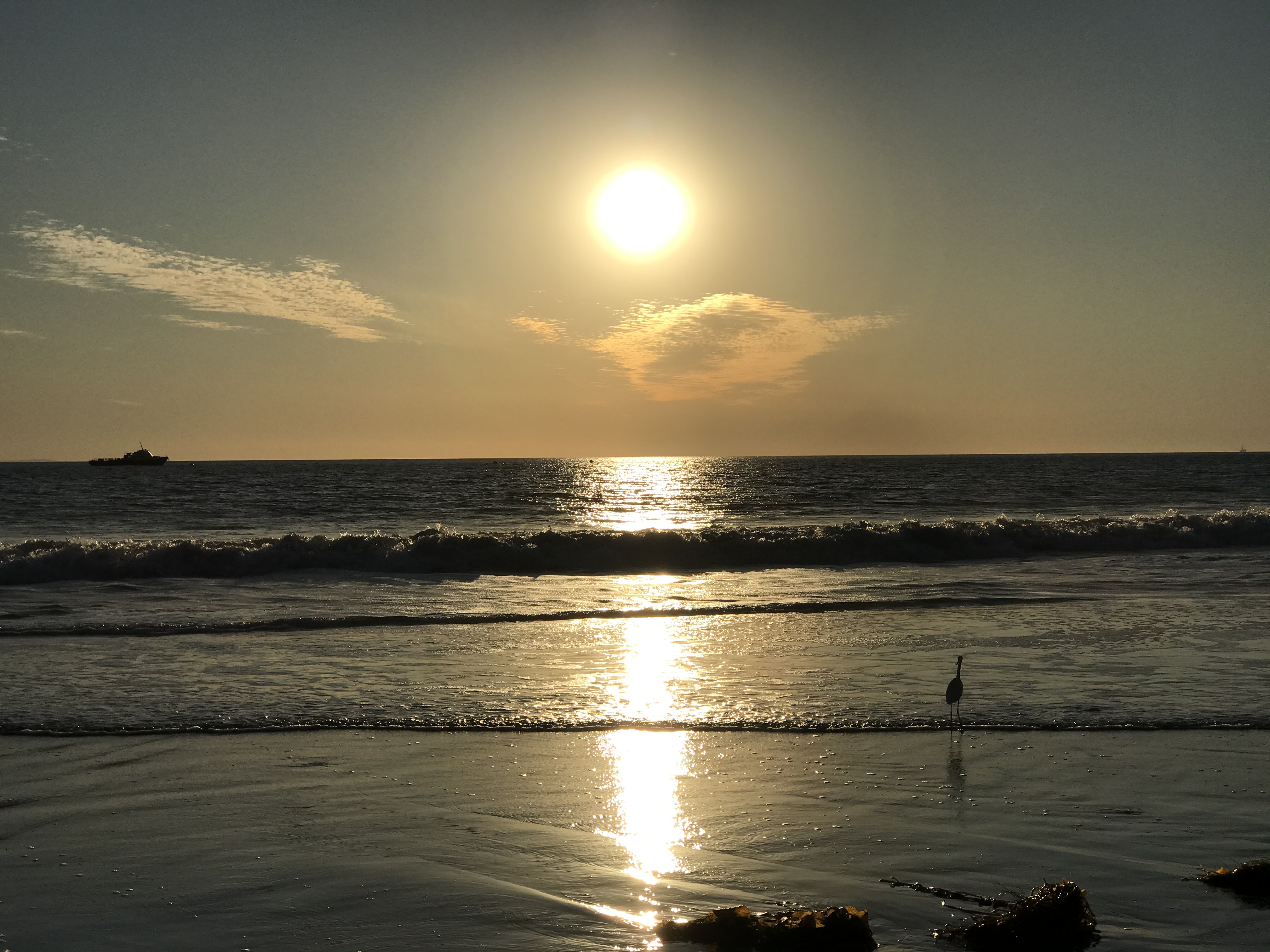 IMG_2038 mirroring.jpg